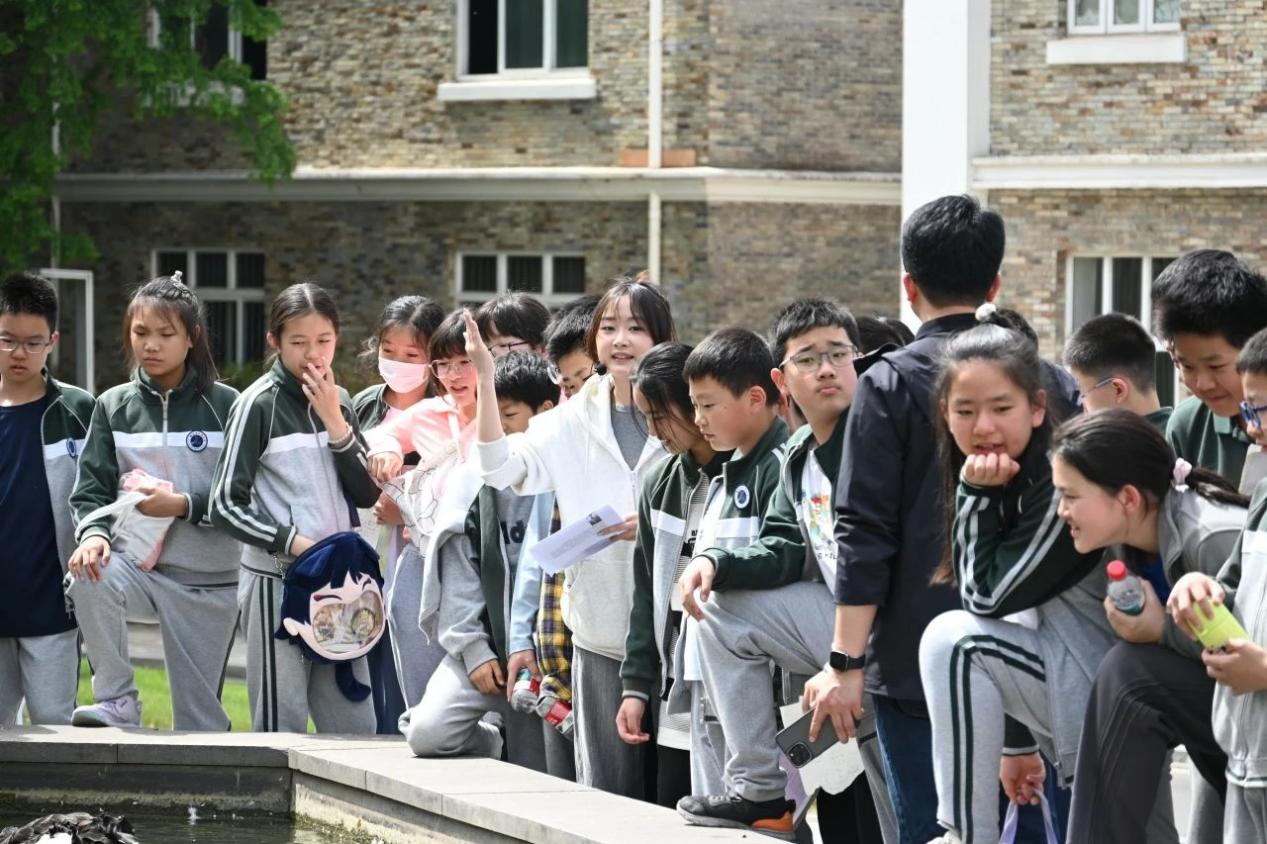 图片6.png 图片6.png